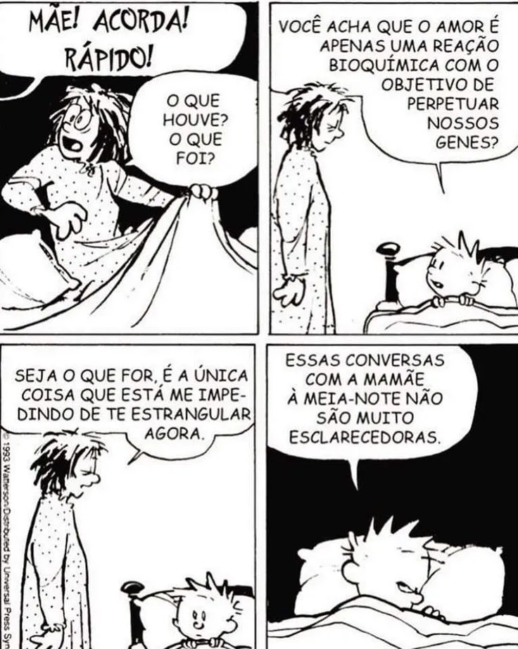 1. CHARGE - 2. CARTOON - 3. TIRINHA - 4. HQ